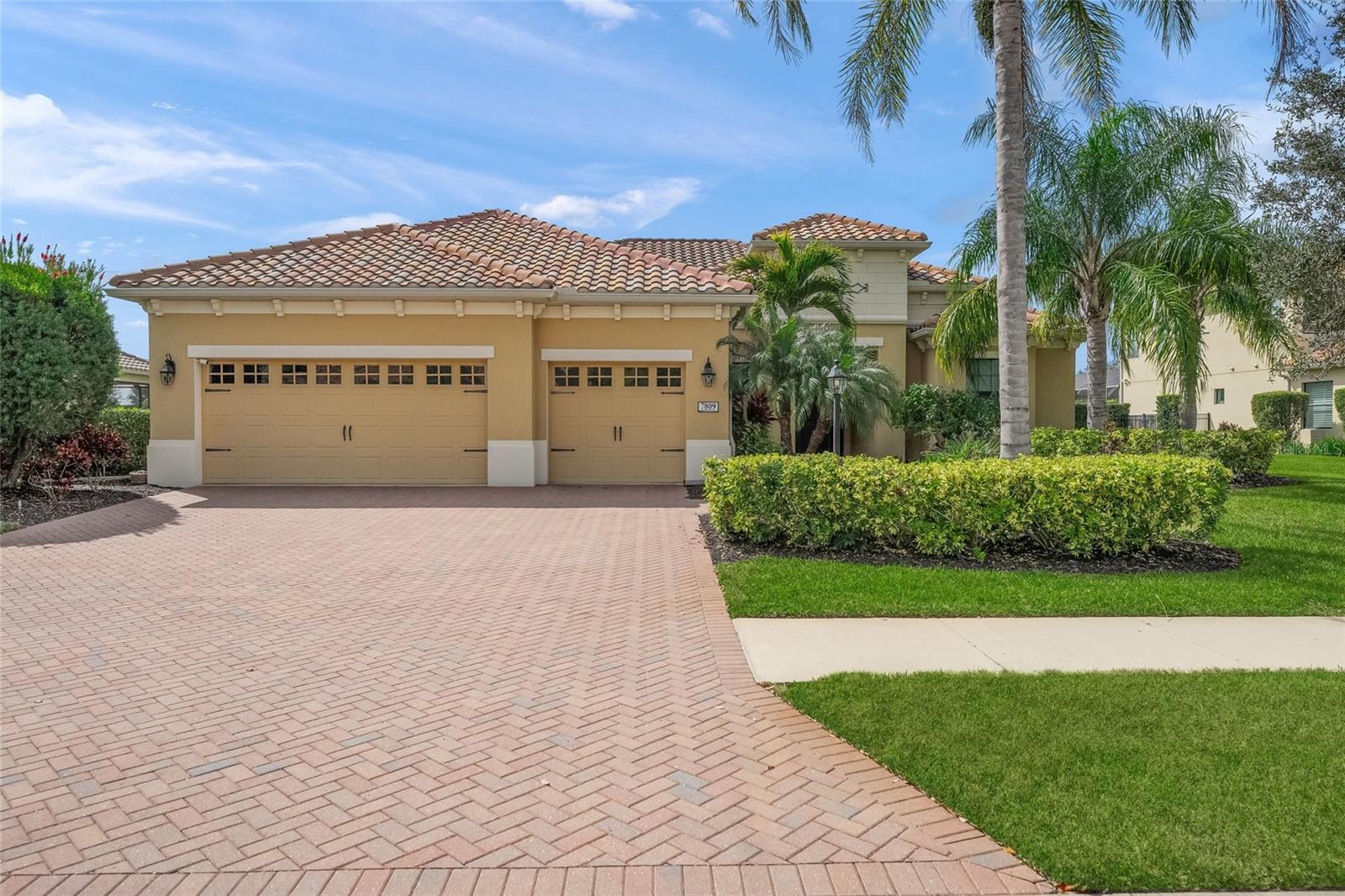 7809 PASSIONFLOWER DR — photo 6