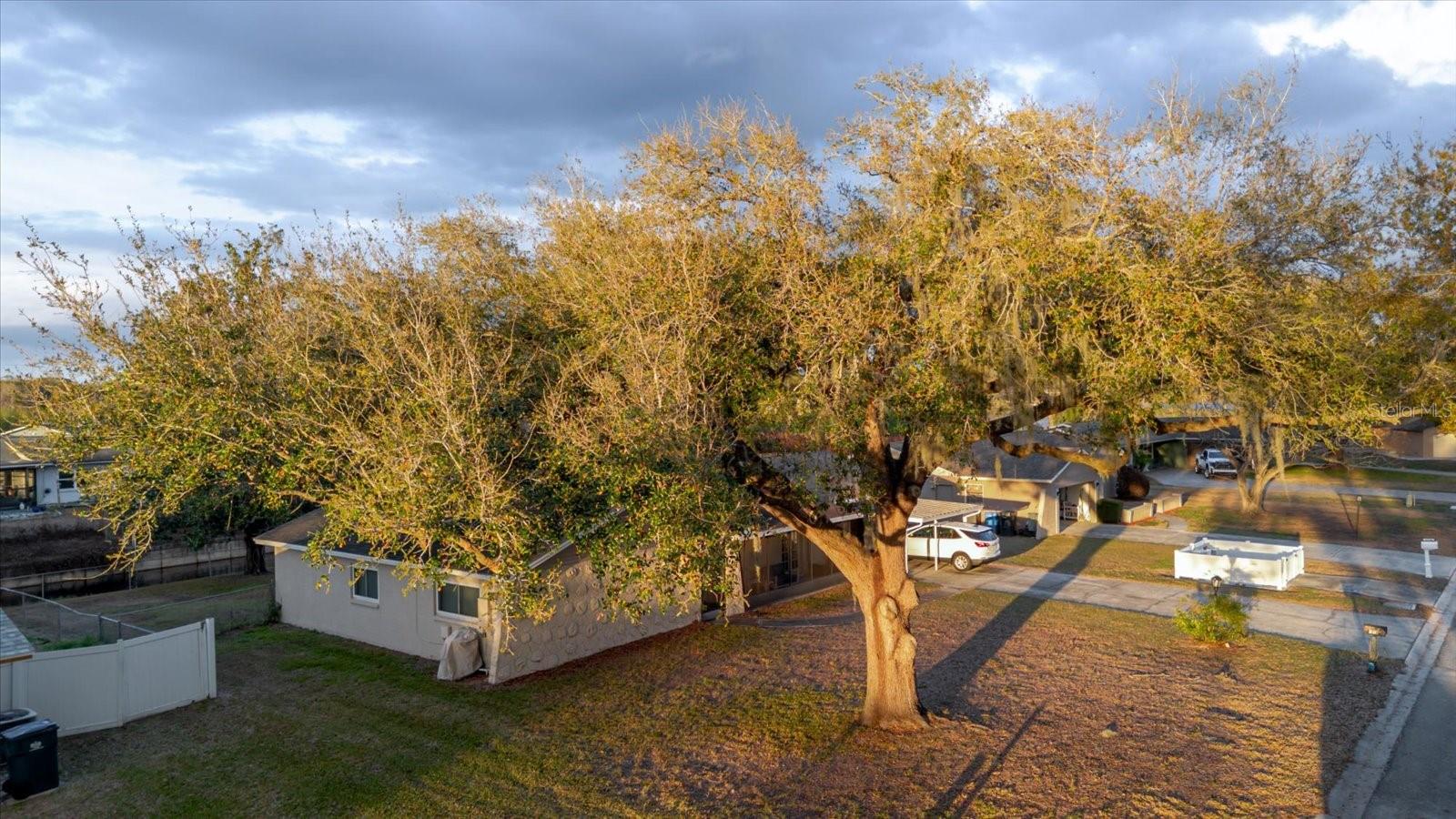 1210 LADY ELAINE DR — photo 12