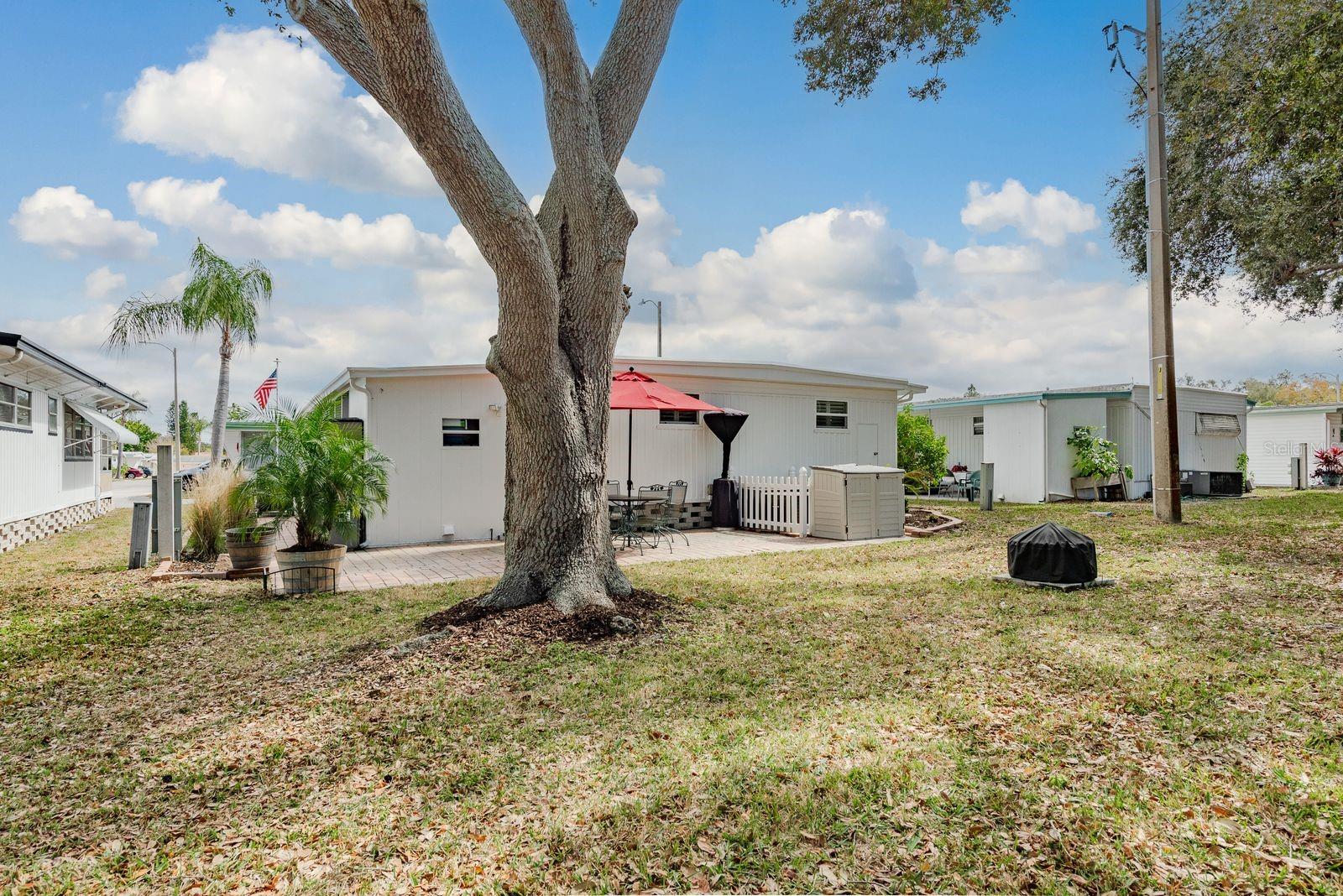 2331 BELLEAIR RD #906 — photo 31