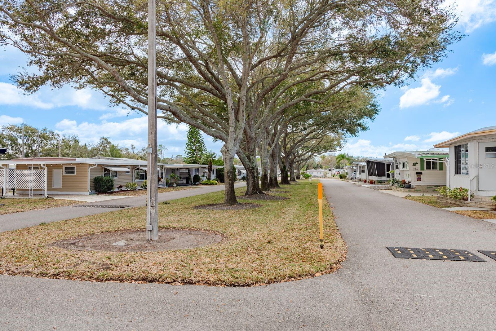 2331 BELLEAIR RD #906 — photo 33