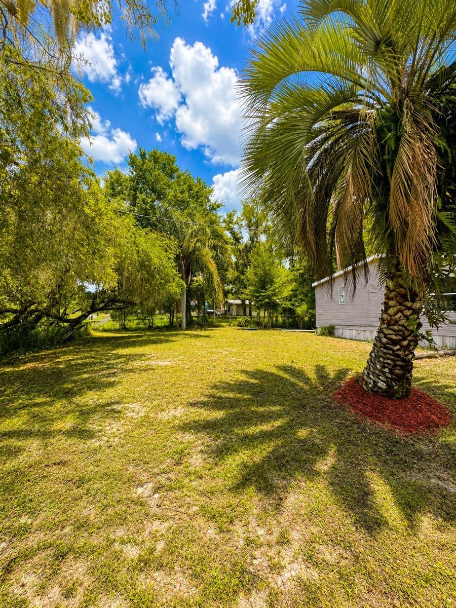 26931 DEACON LOOP — photo 4