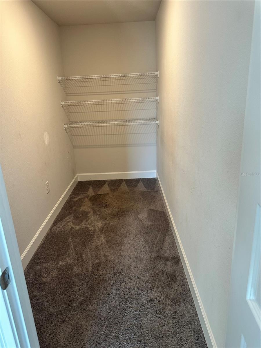 36097 WELSH GLADE RD — photo 21