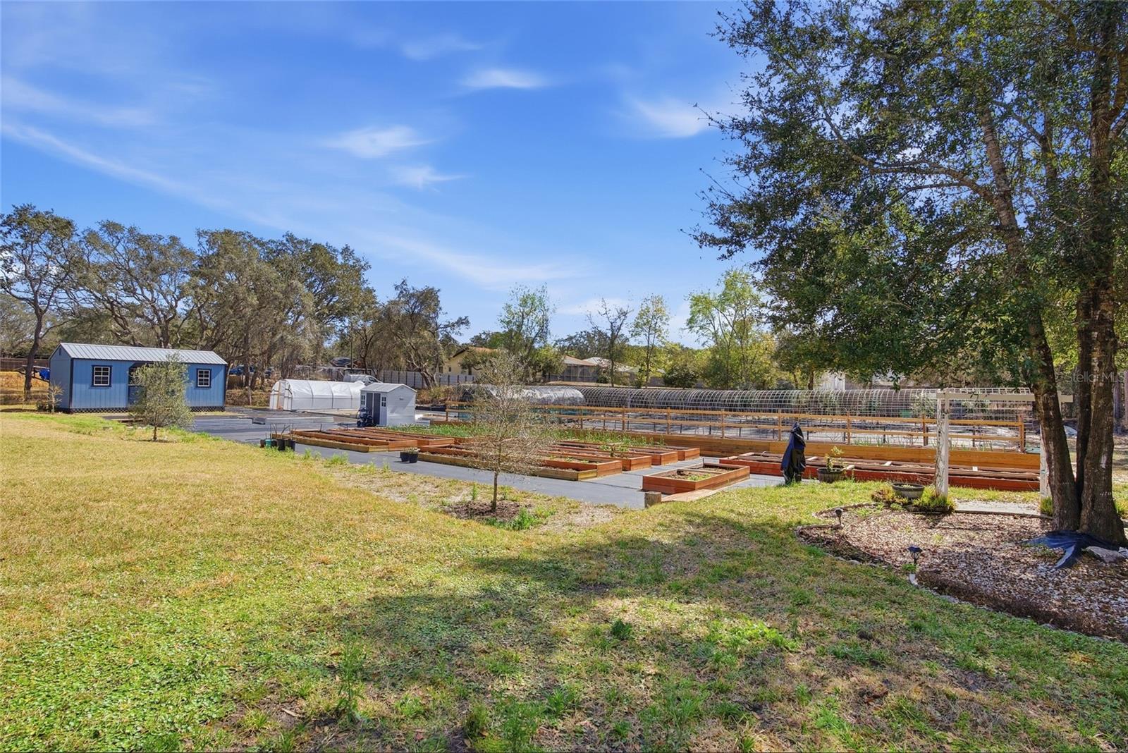 16090 FRINGE TREE DR — photo 41