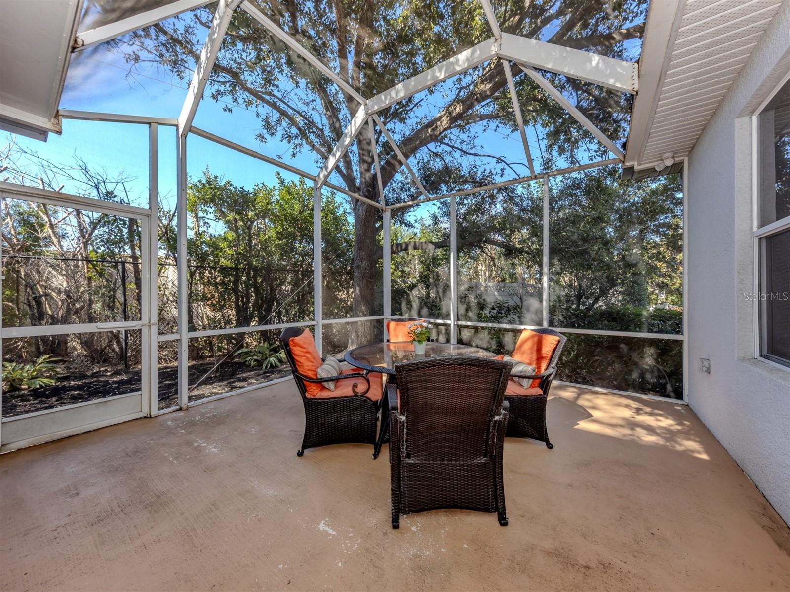111 WAYFOREST DR — photo 5