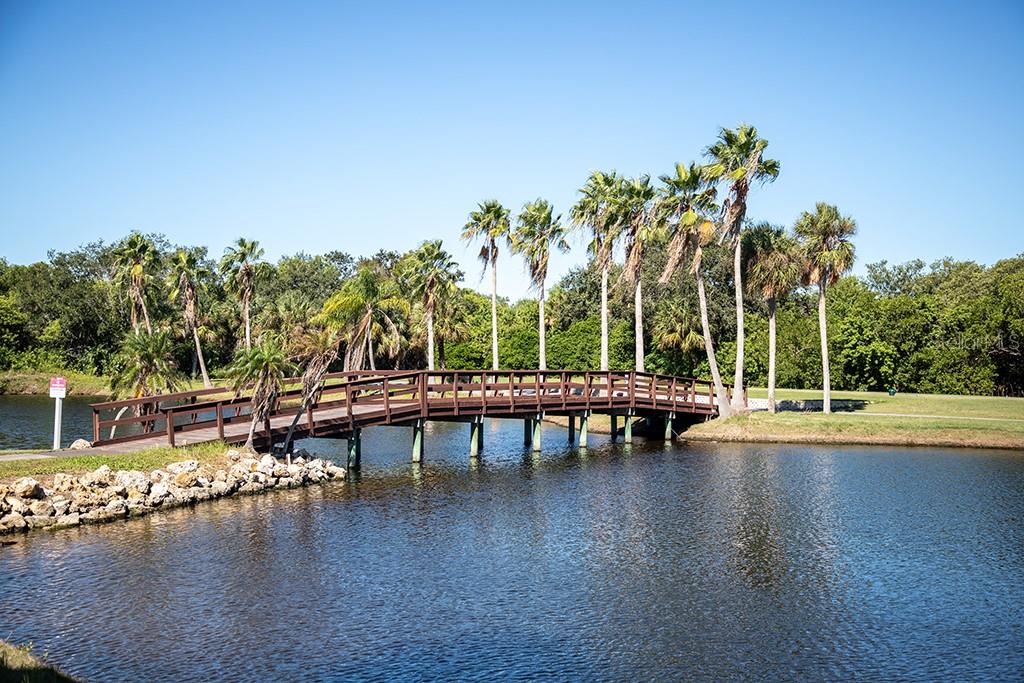 2618 COVE CAY DR #204 — photo 42