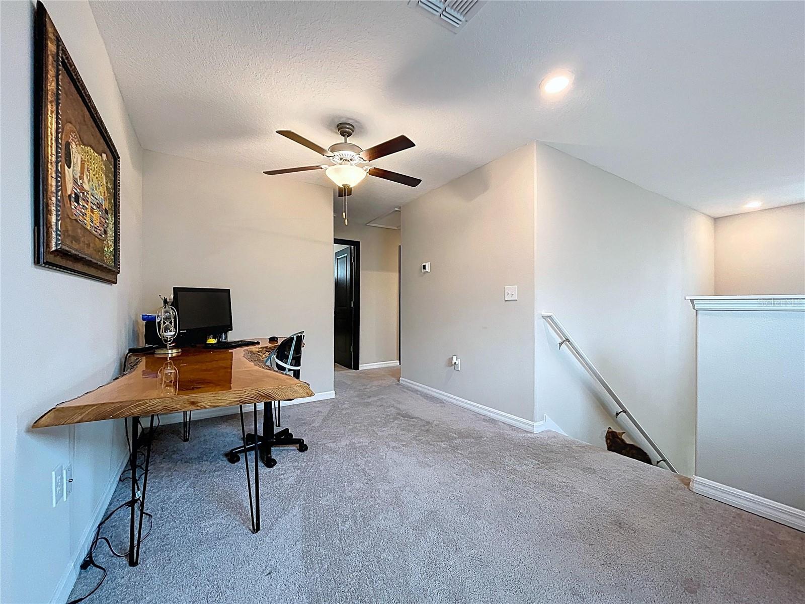 3141 OYSTER COVE ST — photo 15