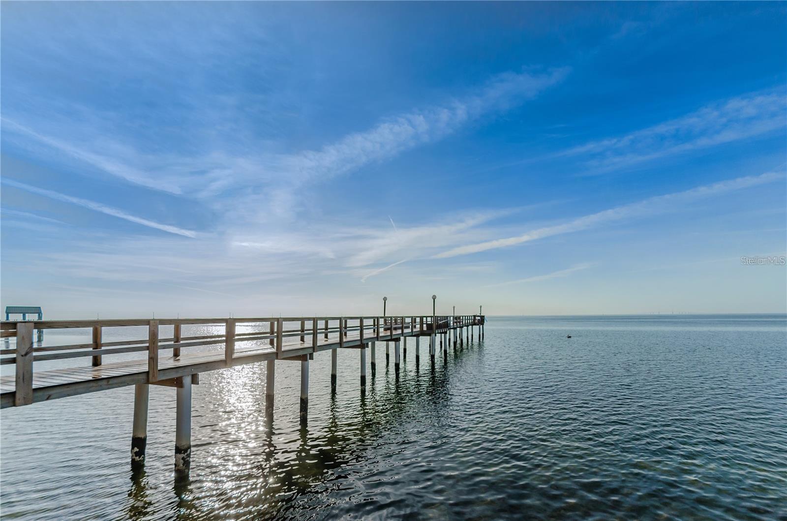 650 PINELLAS POINT DR S ##205 — photo 31