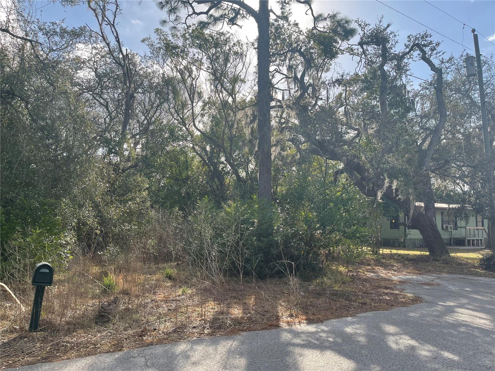 10024 OANA ST — photo 3