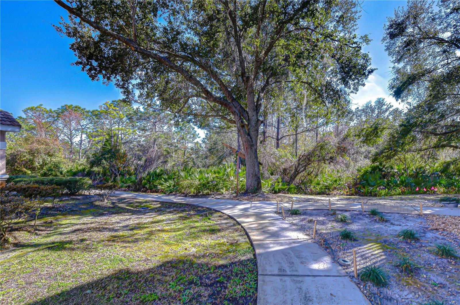 10409 VILLA VIEW CIR #10409 — photo 38