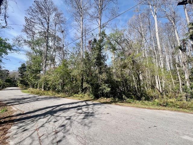 0 SOUTHWOOD CT — photo 8