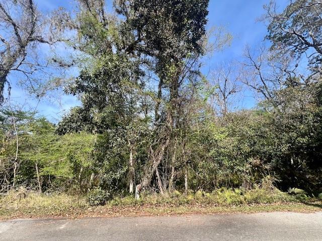0 SOUTHWOOD CT — photo 13