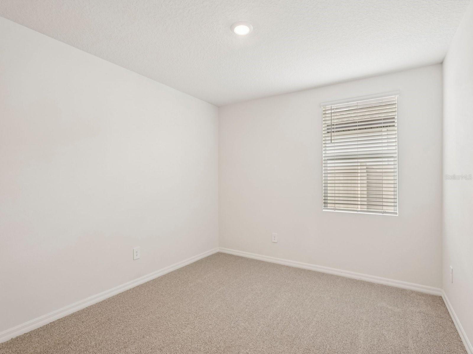 10417 ABUNDANCE GROVE WAY — photo 14