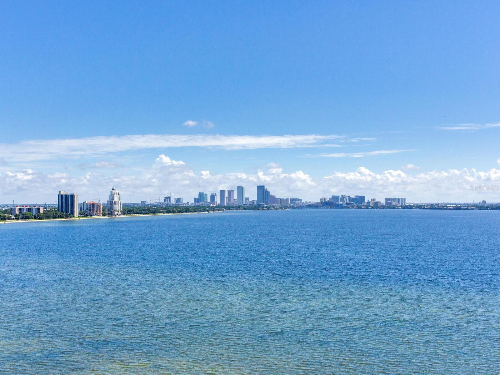 3507 BAYSHORE BLVD #1202 — photo 55