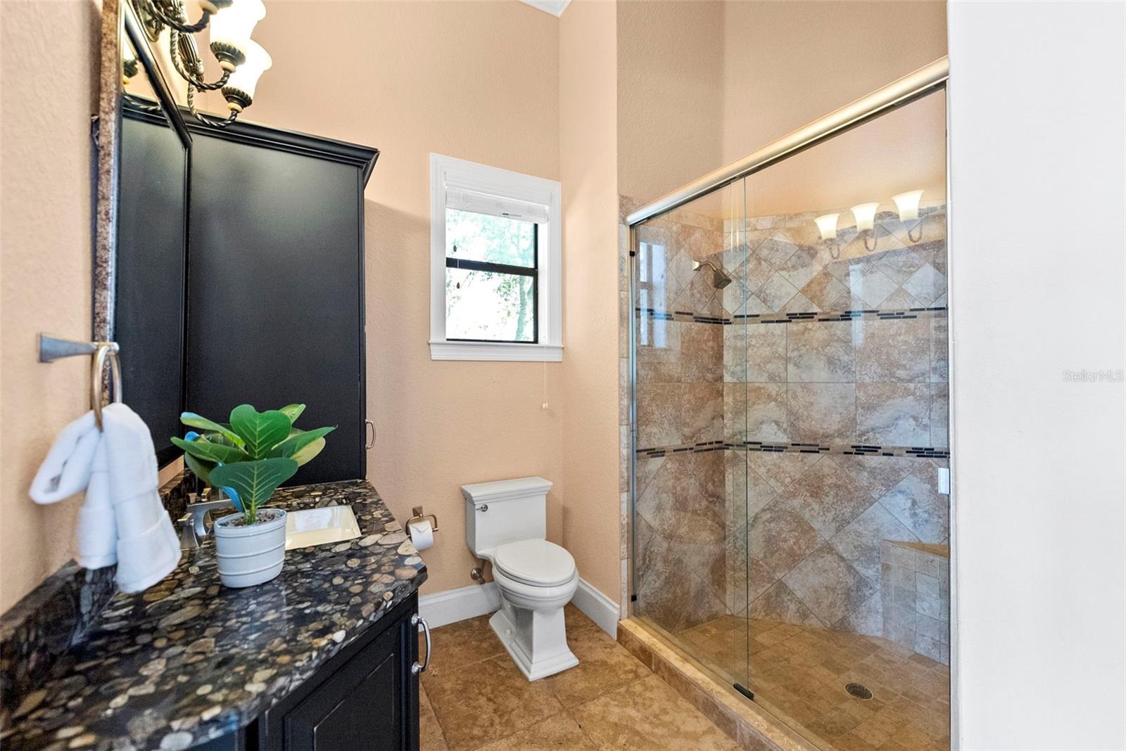 9902 MENANDER WOOD CT — photo 82