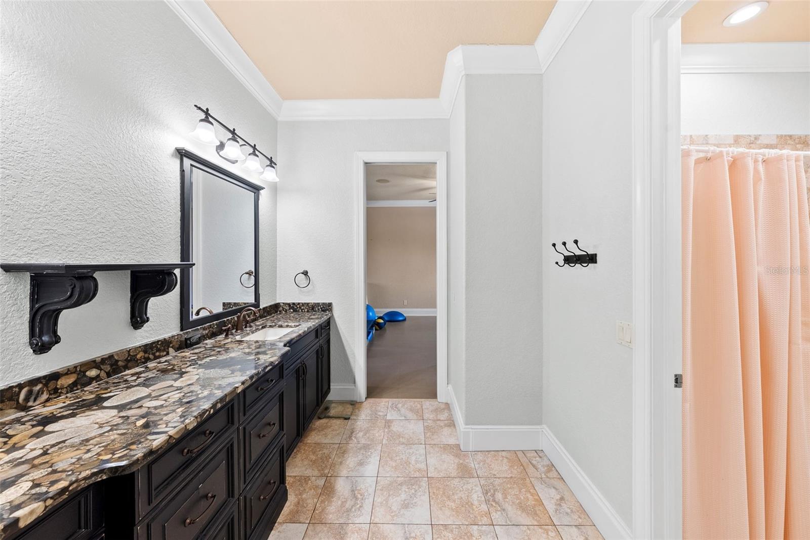 9902 MENANDER WOOD CT — photo 68