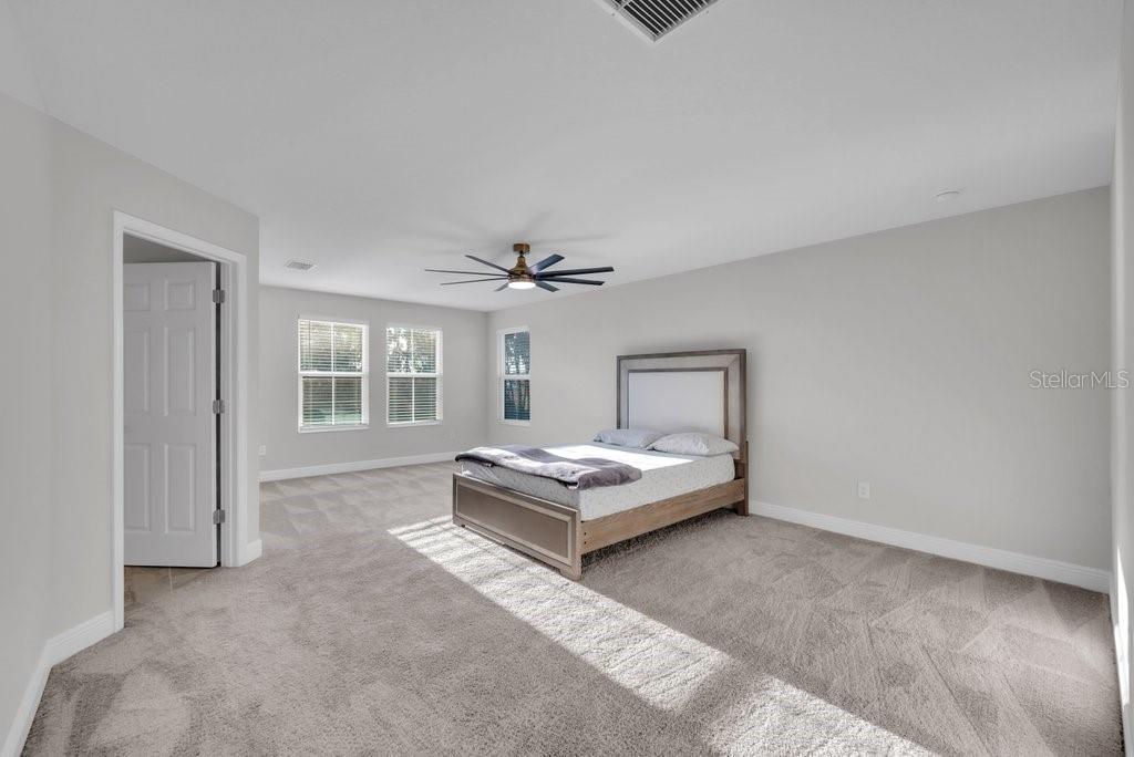 14604 HORSE TROT RD — photo 26