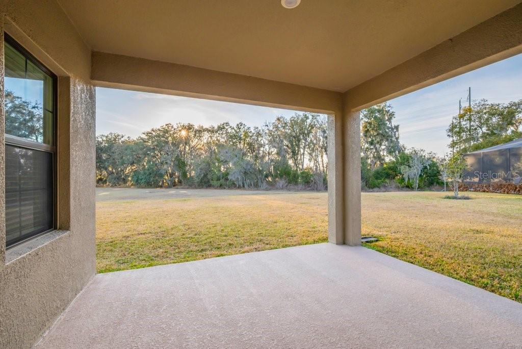 14604 HORSE TROT RD — photo 35
