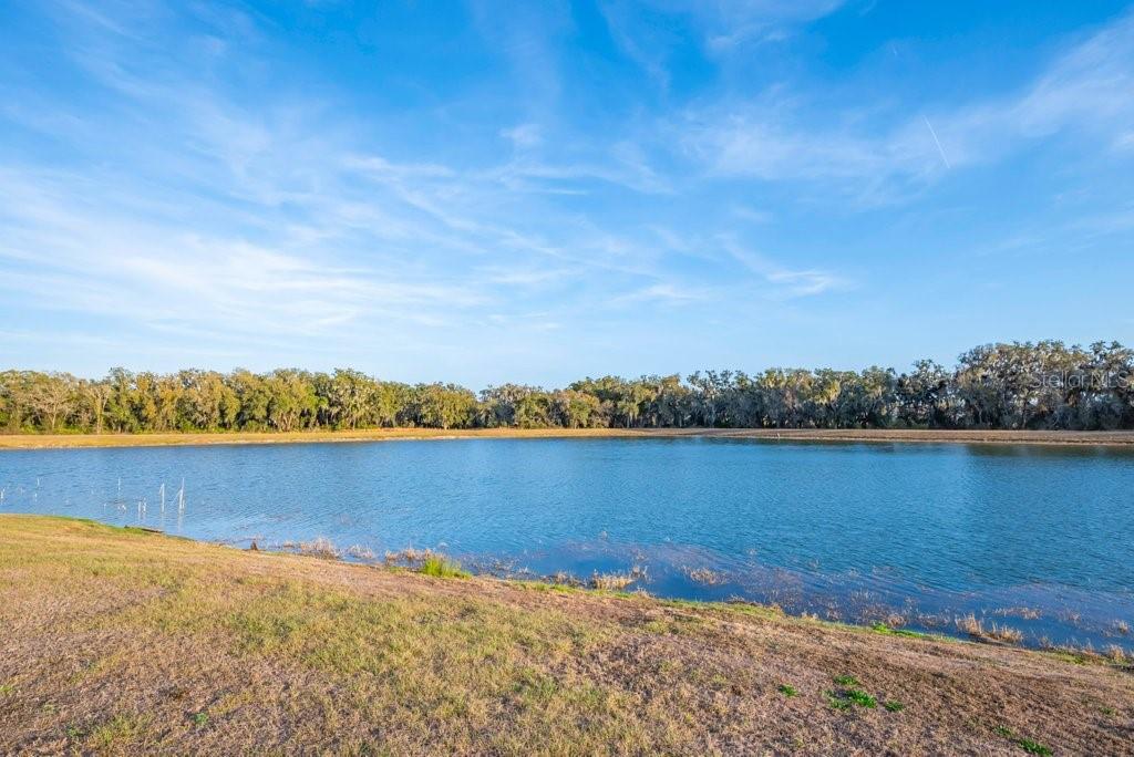 14604 HORSE TROT RD — photo 41