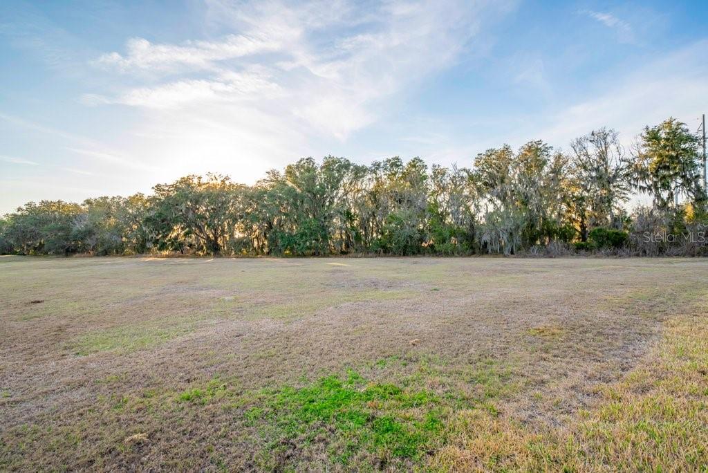 14604 HORSE TROT RD — photo 40