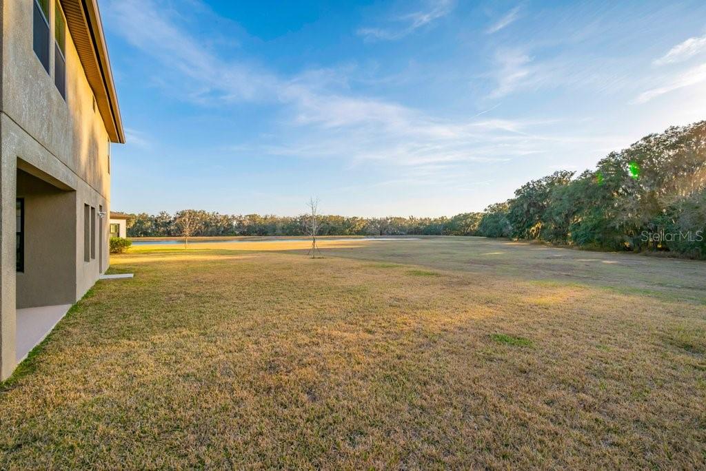 14604 HORSE TROT RD — photo 36