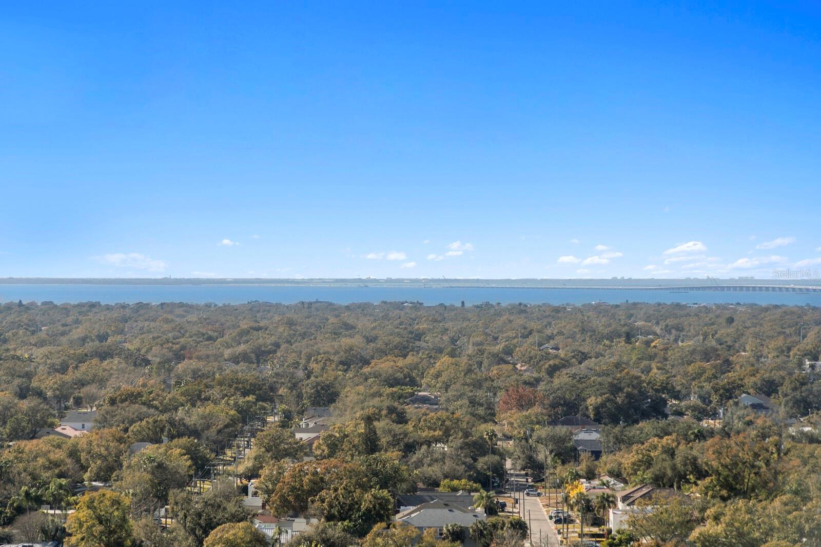 3101 BAYSHORE BLVD #1804 — photo 48
