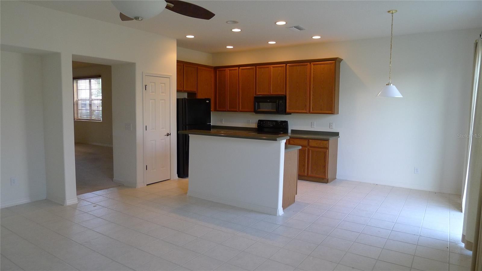 11164 GOLDEN SILENCE DR — photo 4