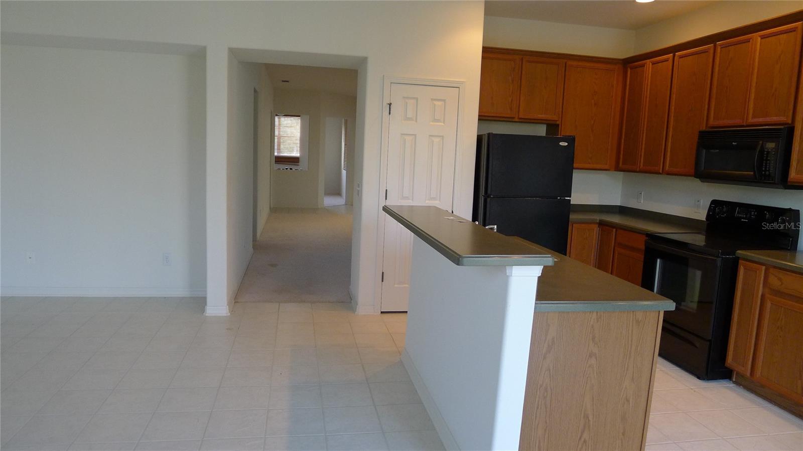 11164 GOLDEN SILENCE DR — photo 6