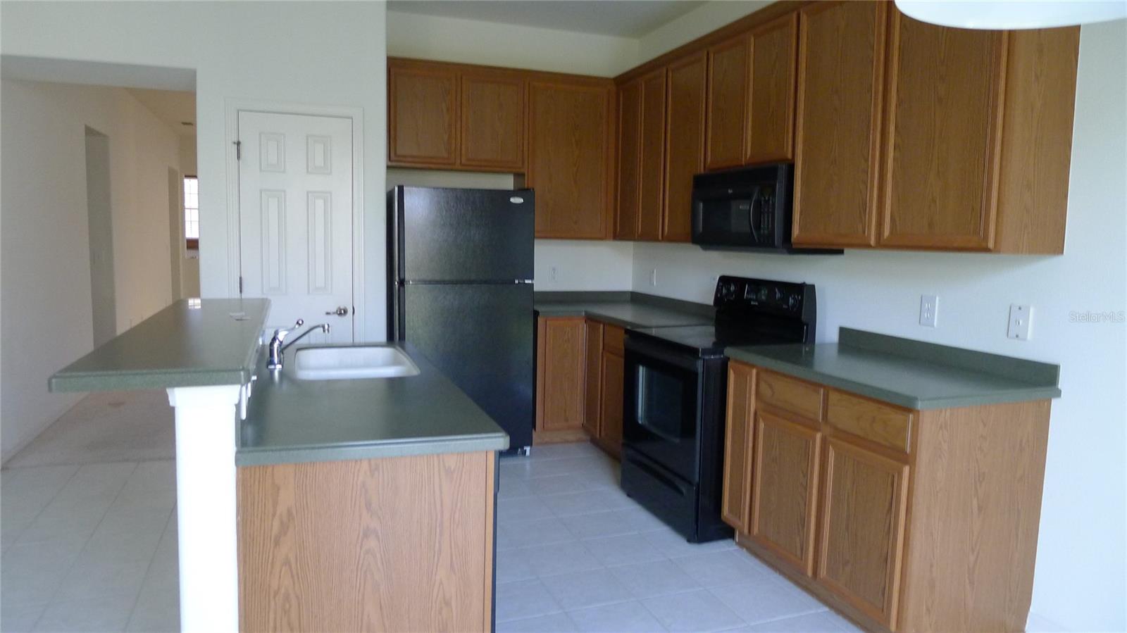 11164 GOLDEN SILENCE DR — photo 5