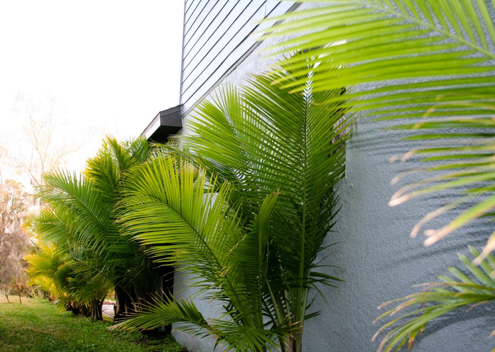 8323 REEFBAY COVE — photo 15