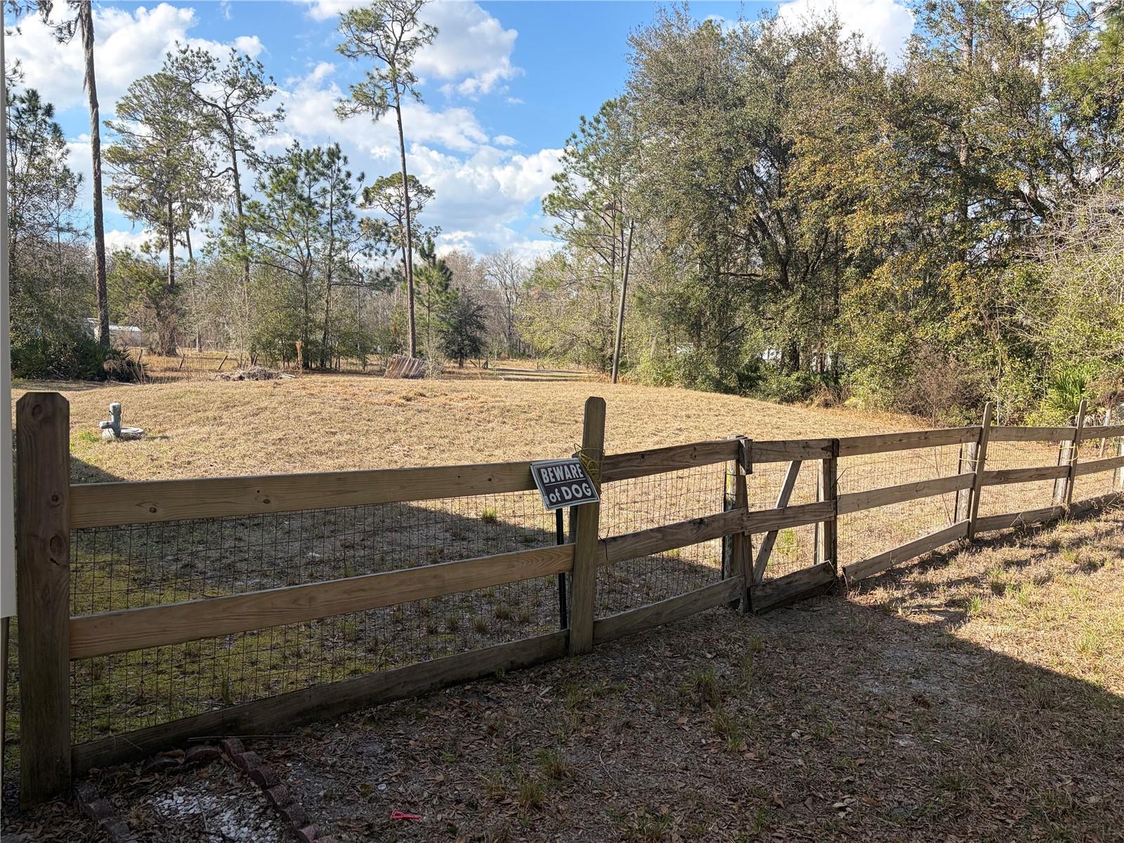 6905 PEARSON LN — photo 25