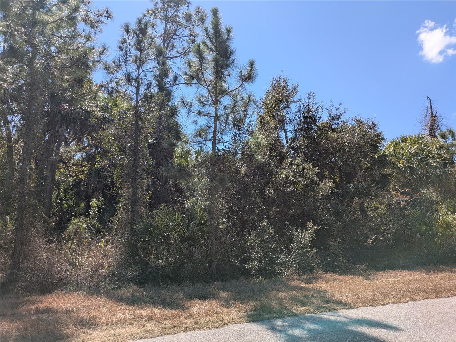BANNOCK CIR — photo 4