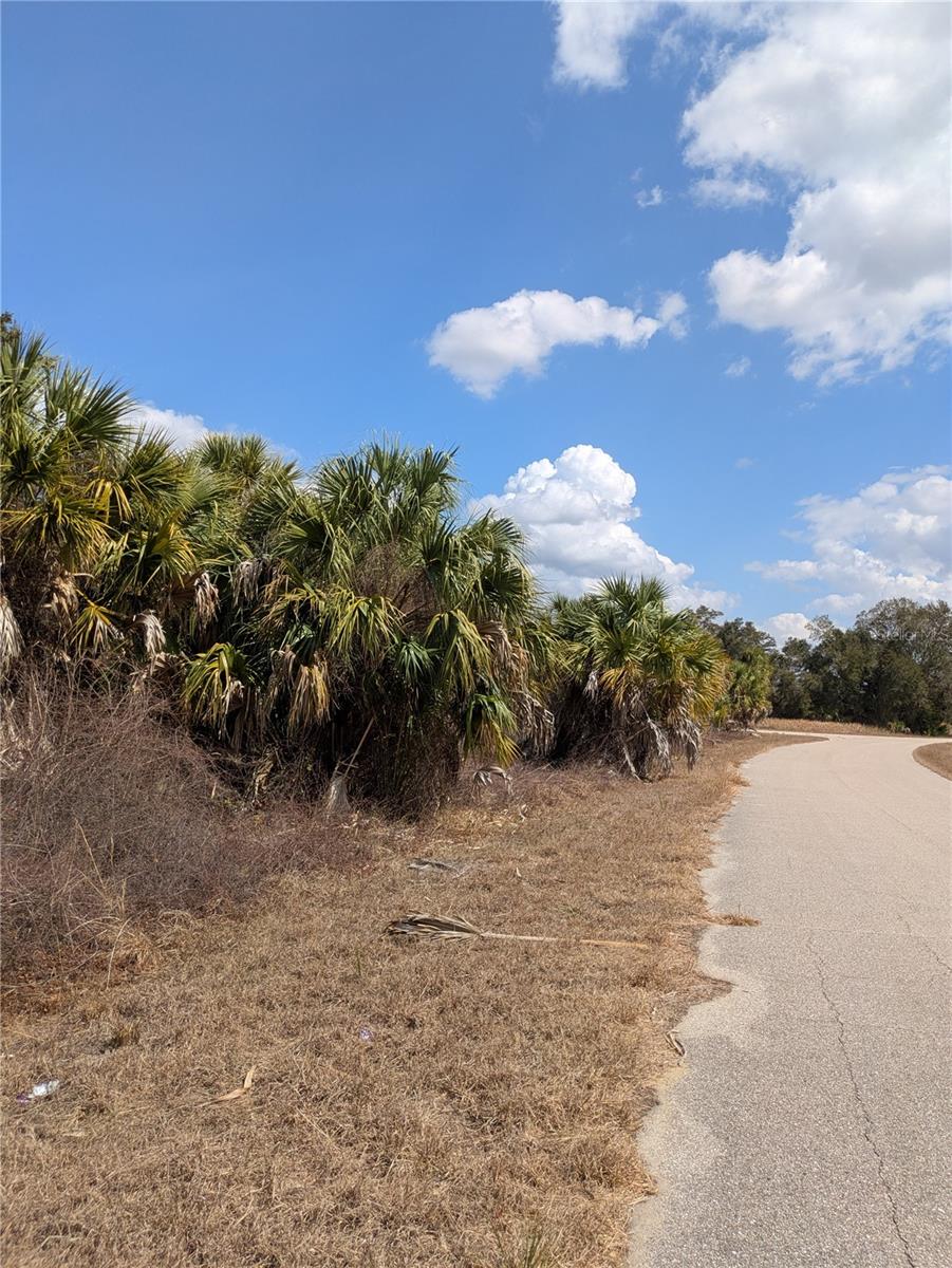 CASCO CIR — photo 4