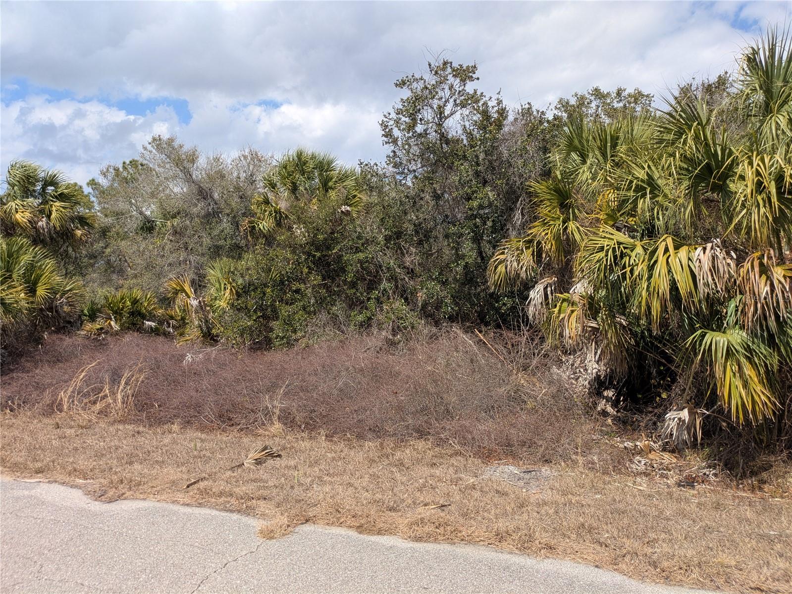 CASCO CIR — photo 8