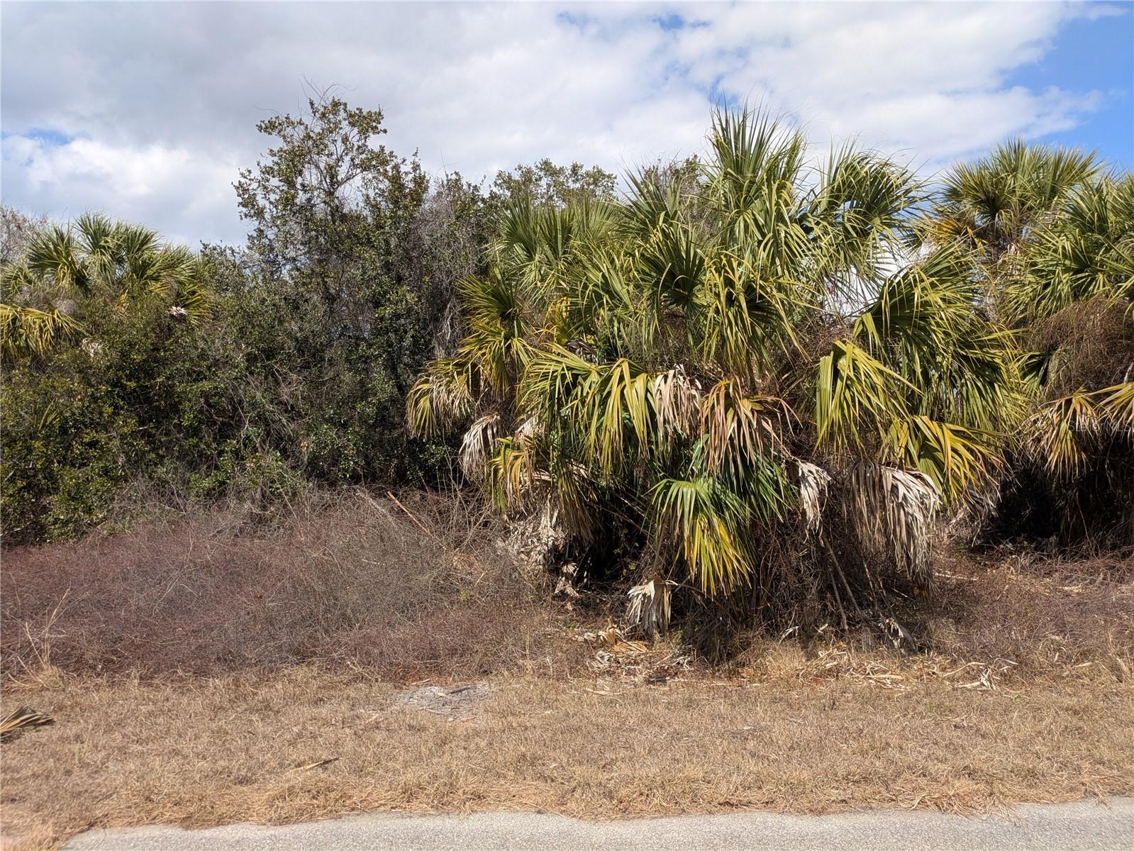 CASCO CIR — photo 7