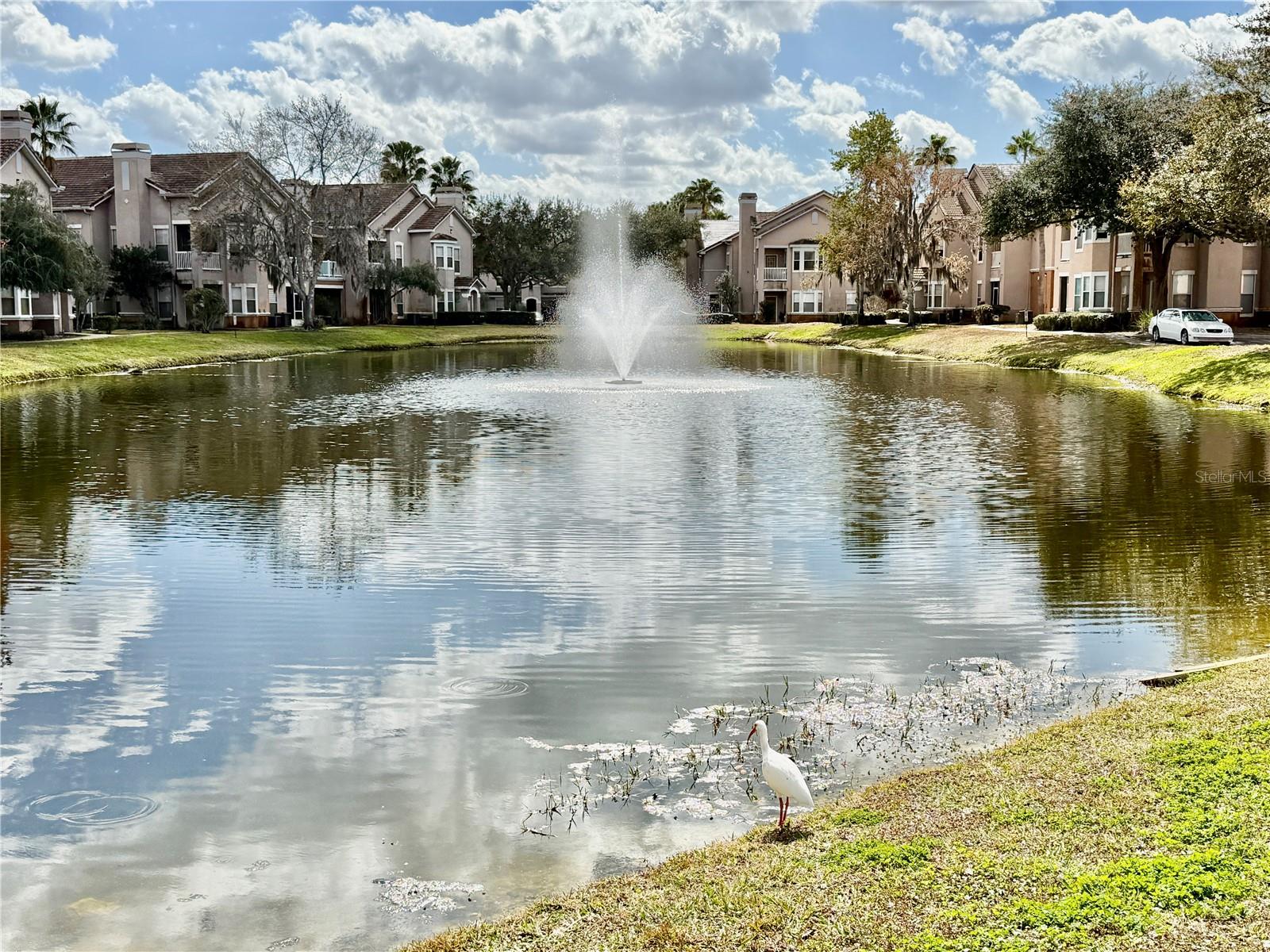 18013 VILLA CREEK DR — photo 46