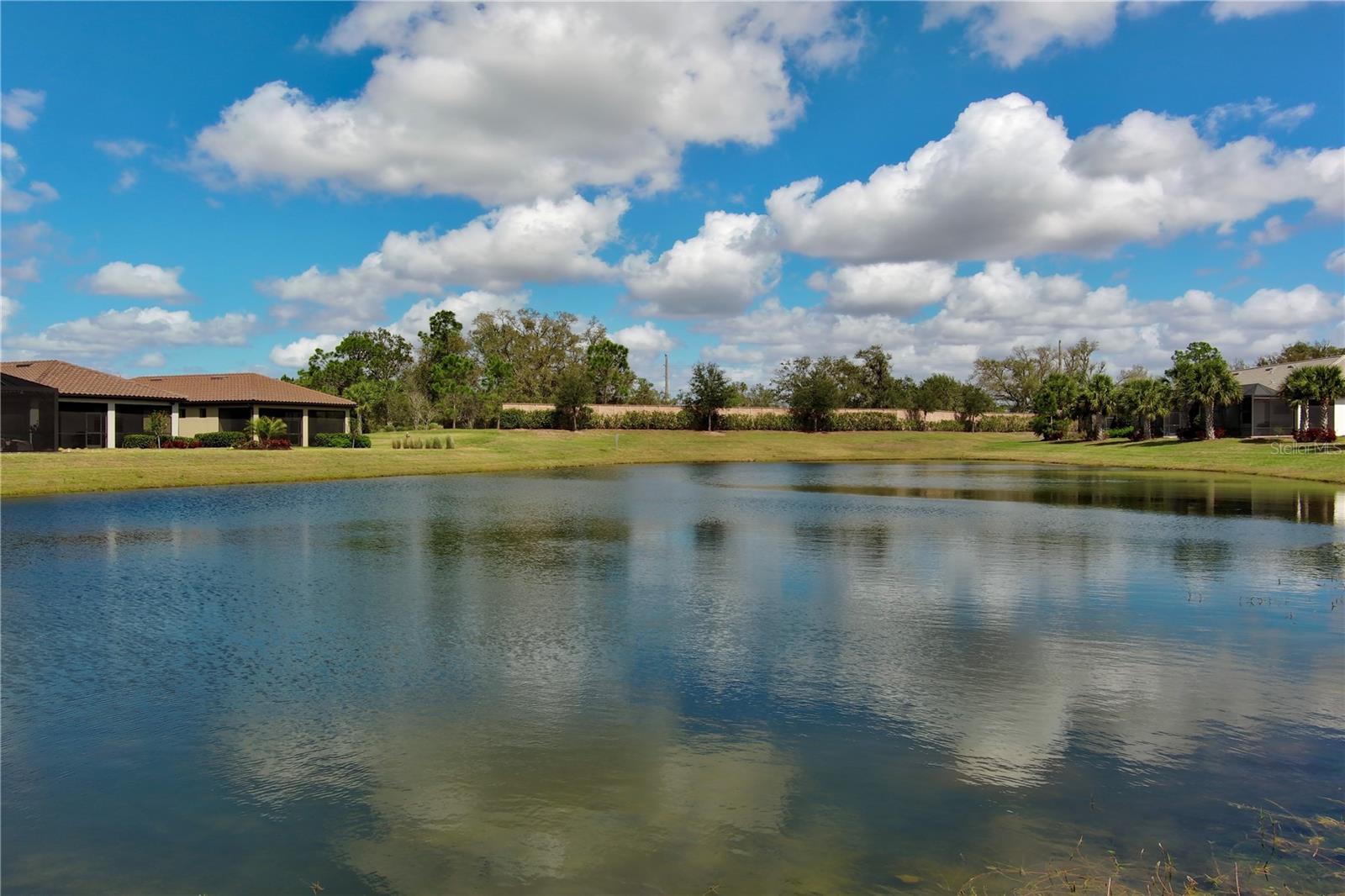 17631 CAMDEN DR — photo 52