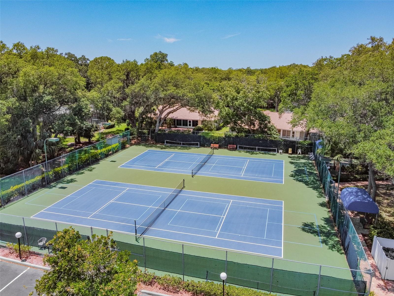 5611 GARDEN LAKES DR — photo 59