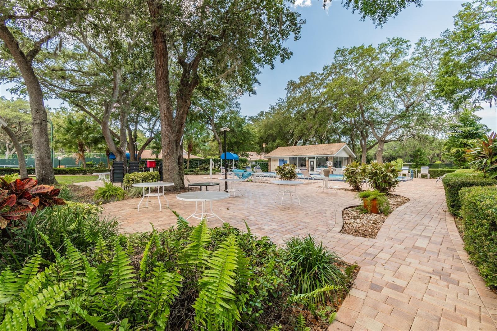 5611 GARDEN LAKES DR — photo 50
