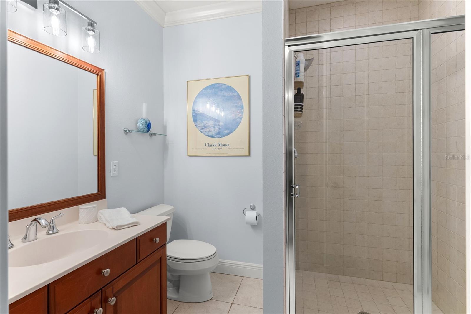 10913 BRIGANN YARD WAY — photo 49