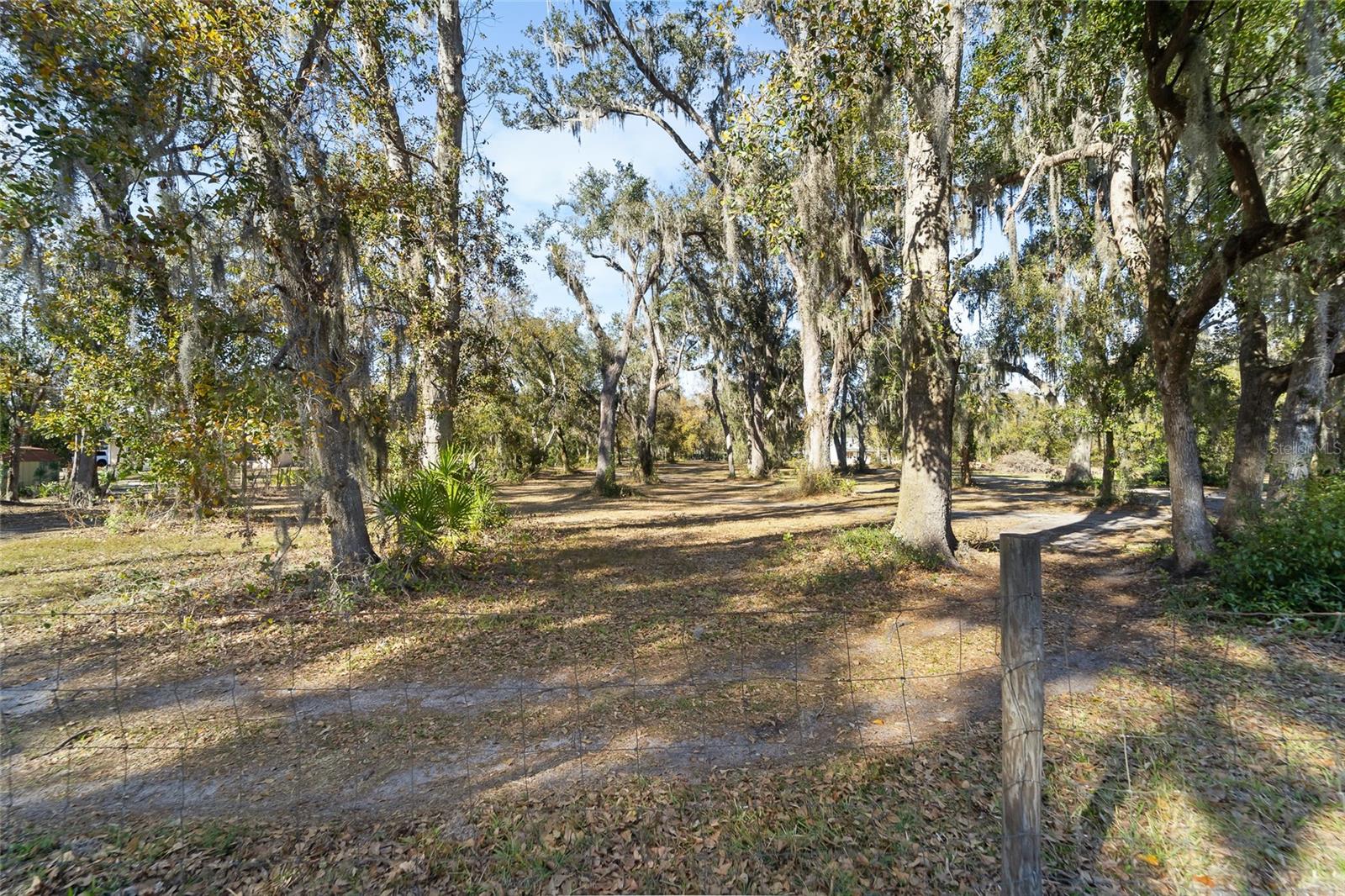 3007 OWLS NEST LN — photo 9
