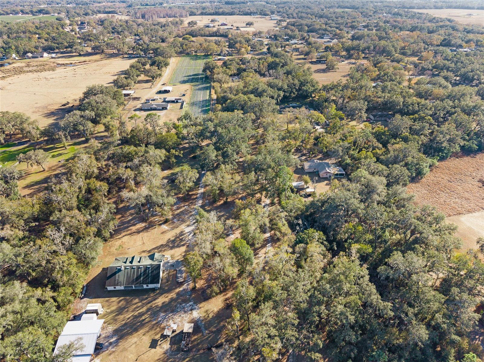 3007 OWLS NEST LN — photo 3