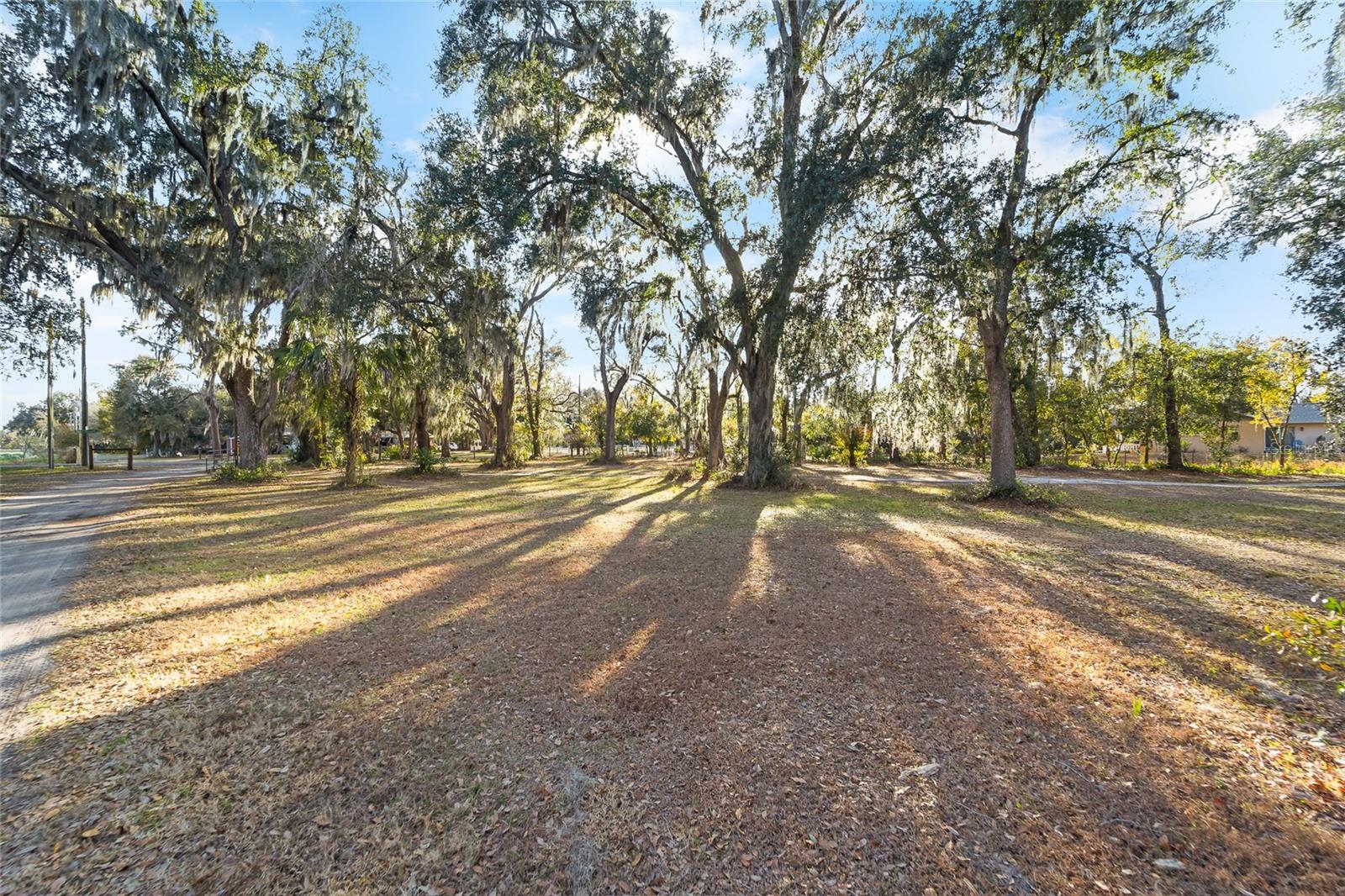 3007 OWLS NEST LN — photo 15