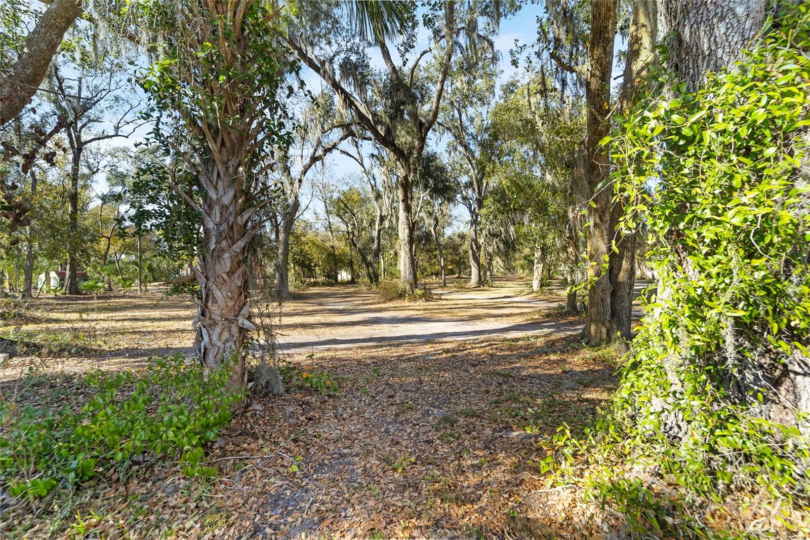 3007 OWLS NEST LN — photo 10