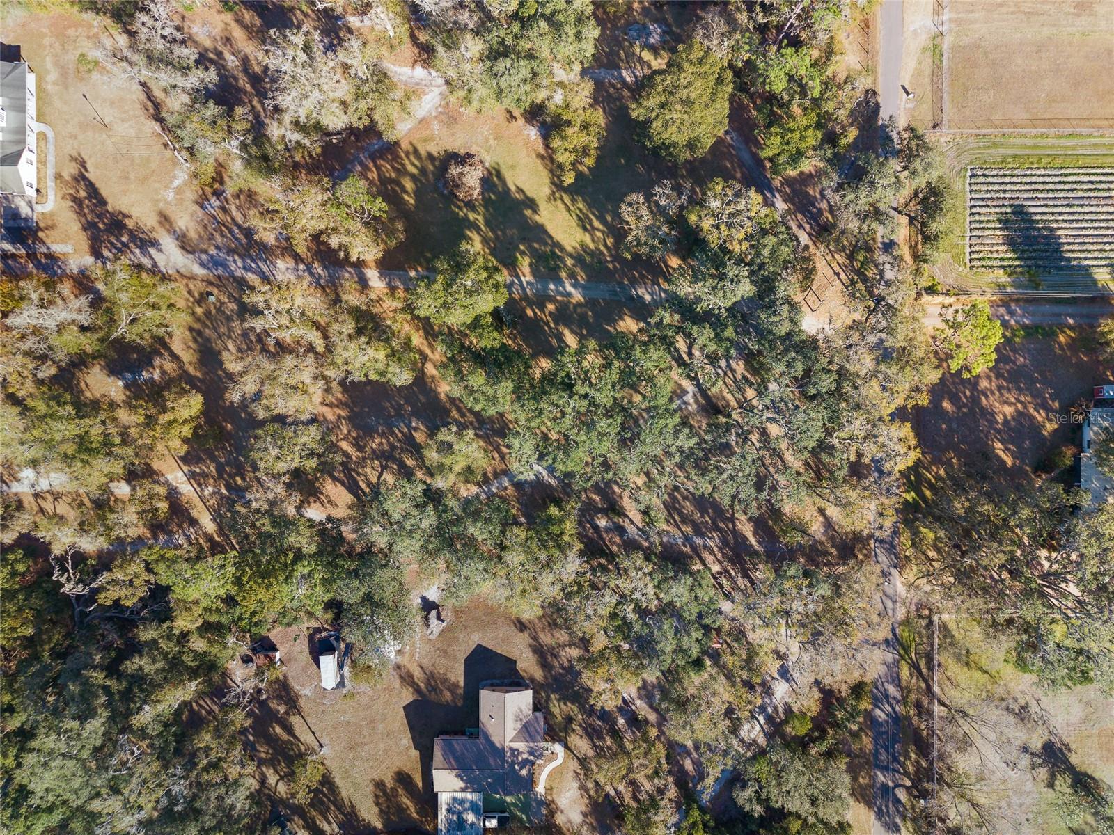 3007 OWLS NEST LN — photo 2
