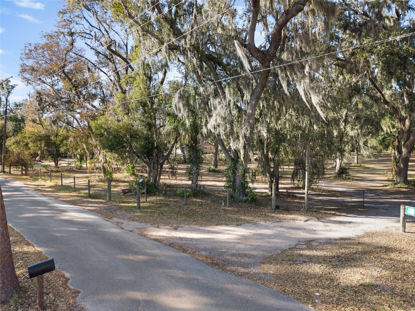 3007 OWLS NEST LN — photo 7