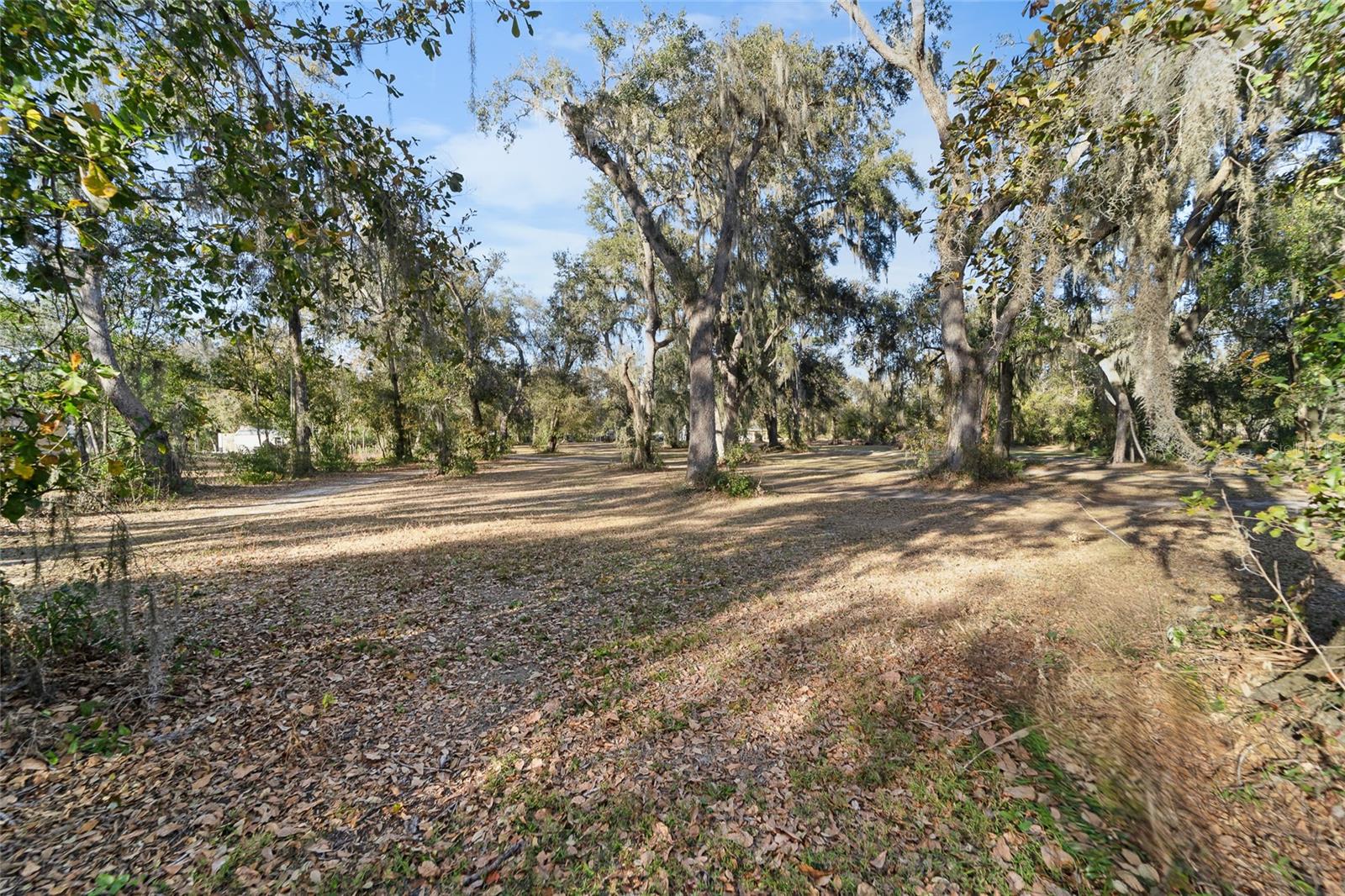 3007 OWLS NEST LN — photo 16