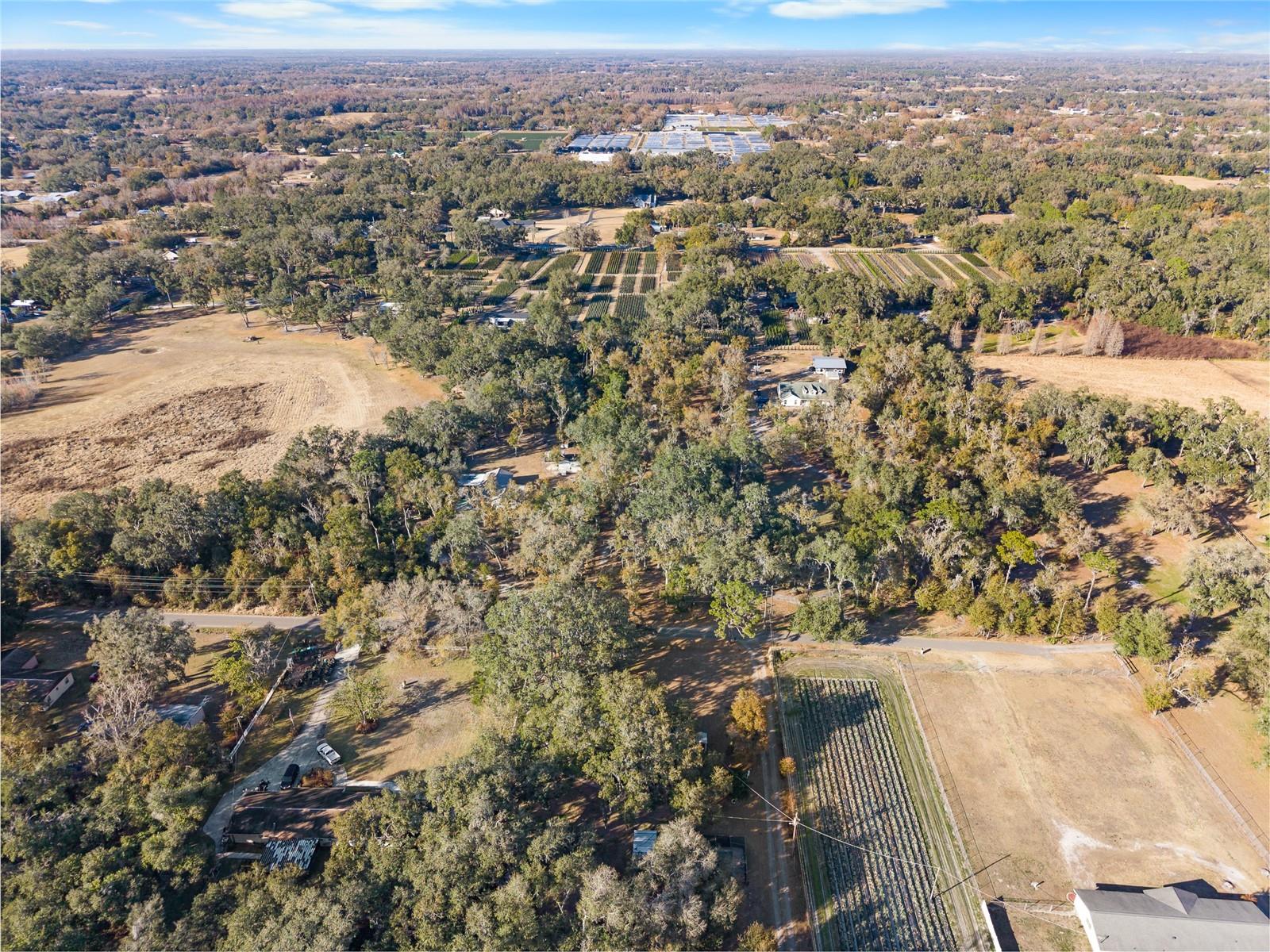 3007 OWLS NEST LN — photo 5
