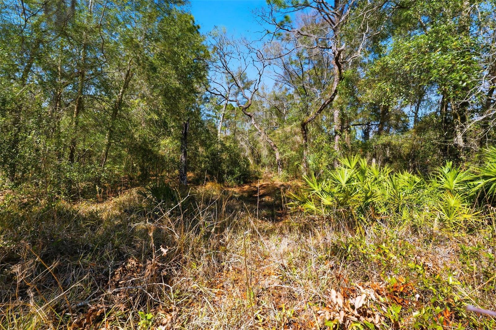9255 GROUSE WAY — photo 8
