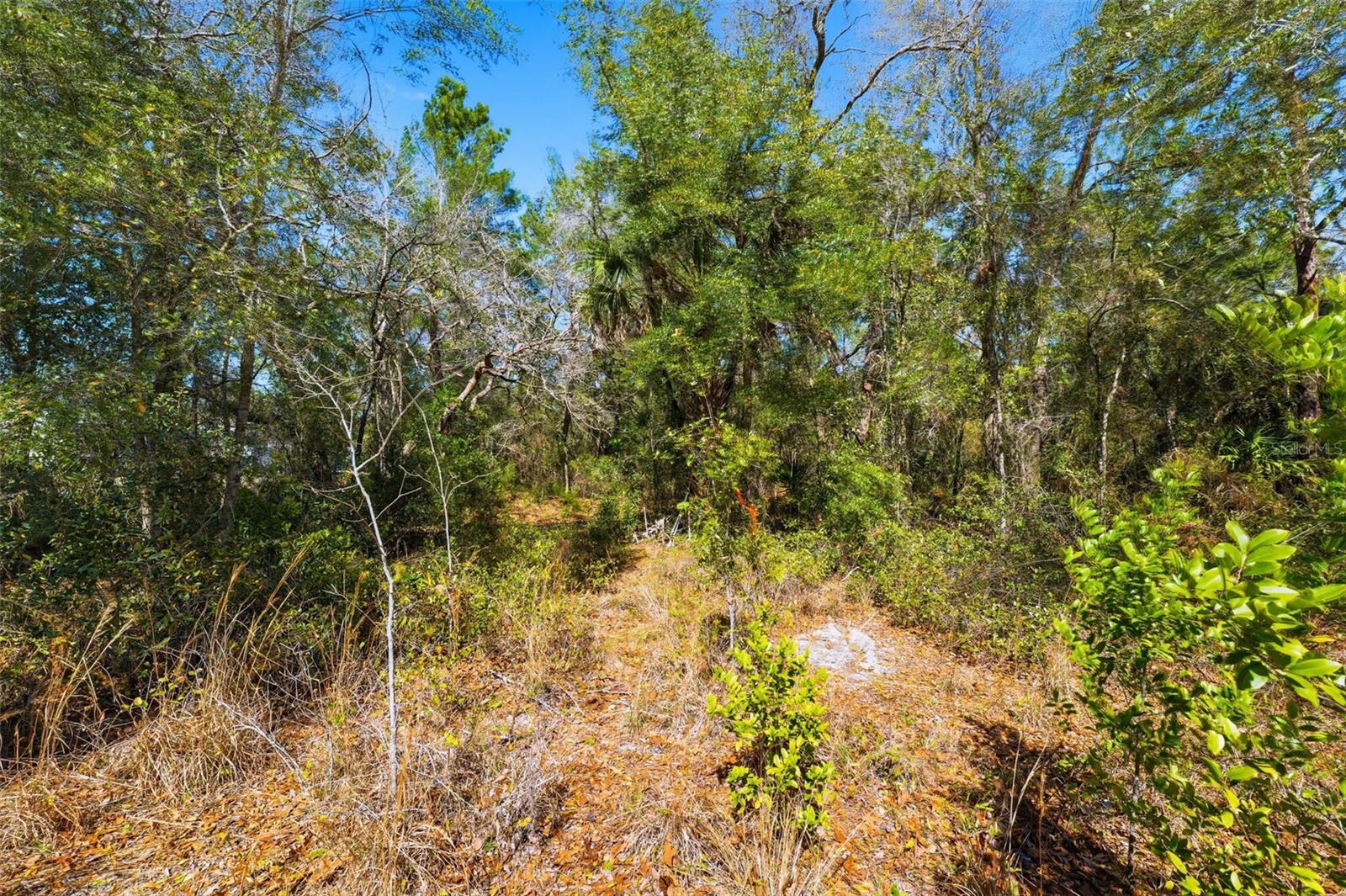 9255 GROUSE WAY — photo 4