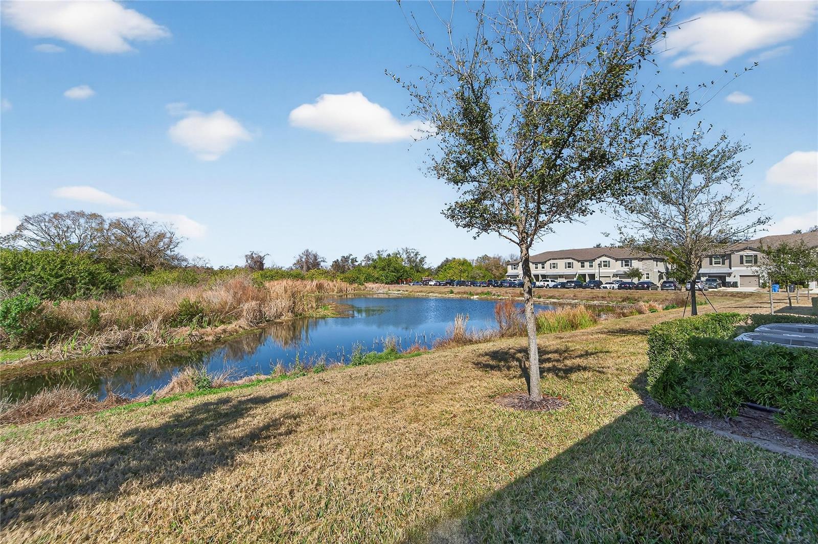15519 PRESTWICK ROSE PL — photo 40